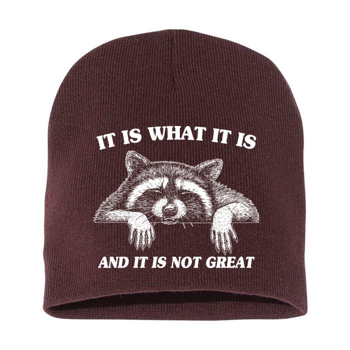Funny Raccoon It Is What It Is And It Is Not Great Short Acrylic Beanie