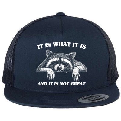 Funny Raccoon It Is What It Is And It Is Not Great Flat Bill Trucker Hat