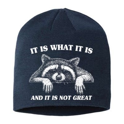 Funny Raccoon It Is What It Is And It Is Not Great Sustainable Beanie