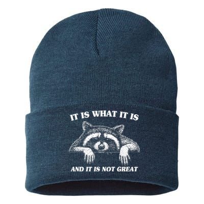 Funny Raccoon It Is What It Is And It Is Not Great Sustainable Knit Beanie