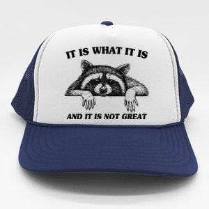 Funny Raccoon It Is What It Is And It Is Not Great Trucker Hat