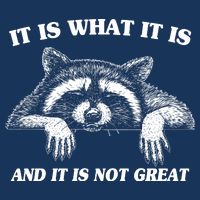 Funny Raccoon It Is What It Is And It Is Not Great Infant Baby Jersey Bodysuit