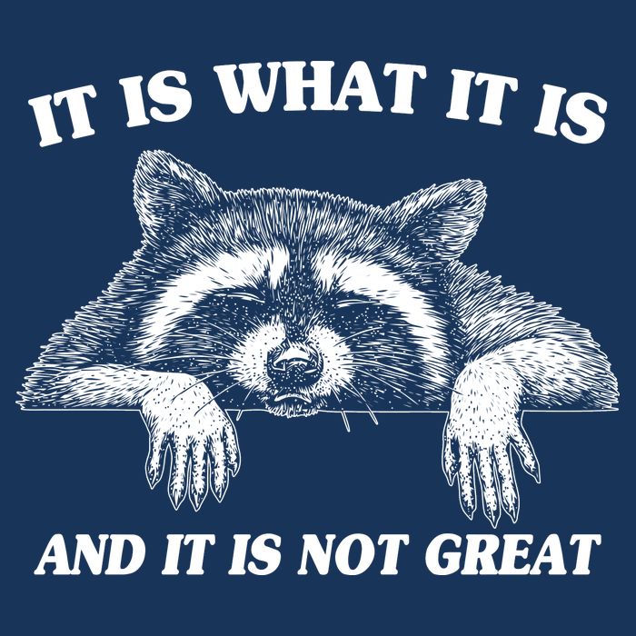 Funny Raccoon It Is What It Is And It Is Not Great Infant Baby Jersey Bodysuit