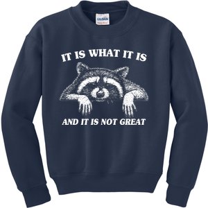 Funny Raccoon It Is What It Is And It Is Not Great Kids Sweatshirt