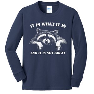 Funny Raccoon It Is What It Is And It Is Not Great Kids Long Sleeve Shirt