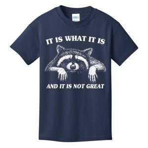 Funny Raccoon It Is What It Is And It Is Not Great Kids T-Shirt