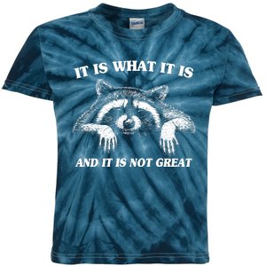 Funny Raccoon It Is What It Is And It Is Not Great Kids Tie-Dye T-Shirt