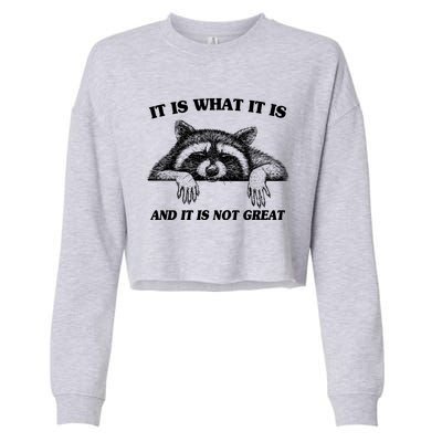 Funny Raccoon It Is What It Is And It Is Not Great Cropped Pullover Crew