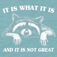 Funny Raccoon It Is What It Is And It Is Not Great Sueded Cloud Jersey T-Shirt