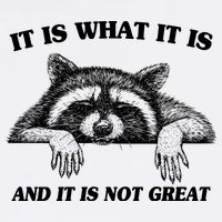 Funny Raccoon It Is What It Is And It Is Not Great Garment-Dyed Sweatshirt