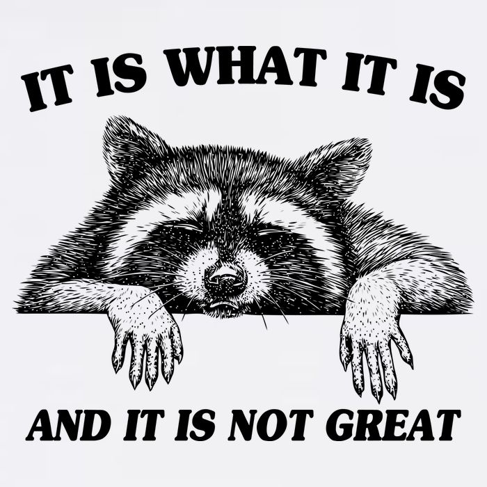 Funny Raccoon It Is What It Is And It Is Not Great Garment-Dyed Sweatshirt
