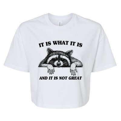 Funny Raccoon It Is What It Is And It Is Not Great Bella+Canvas Jersey Crop Tee