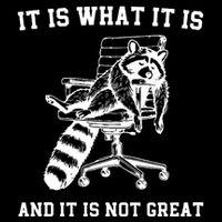 Funny Raccoon It Is What It Is And It Is Not Great Sarcastic Quote 16 in Basic Backpack