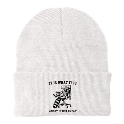Funny Raccoon It Is What It Is And It Is Not Great Sarcastic Quote Knit Cap Winter Beanie