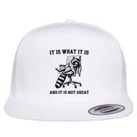 Funny Raccoon It Is What It Is And It Is Not Great Sarcastic Quote Flat Bill Trucker Hat
