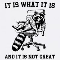 Funny Raccoon It Is What It Is And It Is Not Great Sarcastic Quote Flat Bill Trucker Hat
