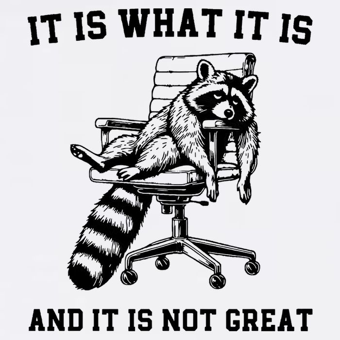Funny Raccoon It Is What It Is And It Is Not Great Sarcastic Quote Flat Bill Trucker Hat