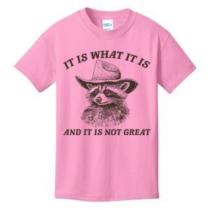 Funny Raccoon It Is What It Is And It Is Not Great Kids T-Shirt