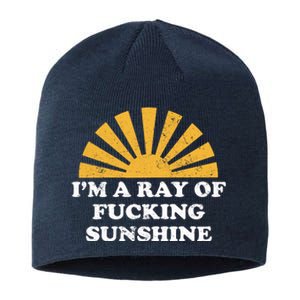 Funny Retro I Am A Ray Of Fucking Sunshine Gift Sustainable Beanie