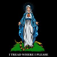 Funny Religious I Tread Where I Please Mary Versus Tread On Me Snake 7-Panel Snapback Hat