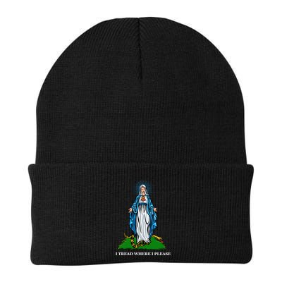 Funny Religious I Tread Where I Please Mary Versus Tread On Me Snake Beanie