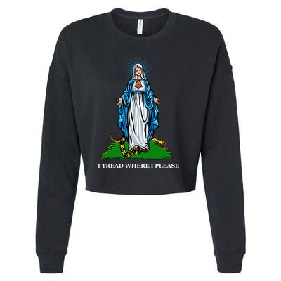 Funny Religious I Tread Where I Please Mary Versus Tread On Me Snake Cropped Pullover Crew