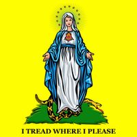 Funny Religious I Tread Where I Please Mary Versus Tread On Me Snake T-Shirt