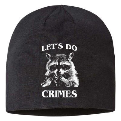 Funny Raccoon Lets Do Crimes Trashed Racoon Panda Lovers Sustainable Beanie