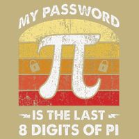 Funny Retro My Password Is The Last 8 Digits Of Pi Day Math .Png Hoodie
