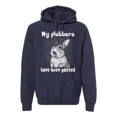 Funny Rabbit My Flabbers Have Been Gasted Retro Graphic Cute Premium Hoodie