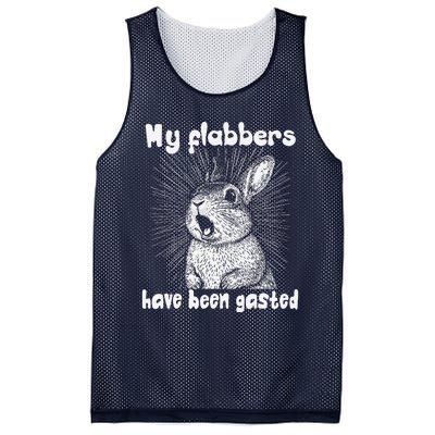 Funny Rabbit My Flabbers Have Been Gasted Retro Graphic Cute Mesh Reversible Basketball Jersey Tank