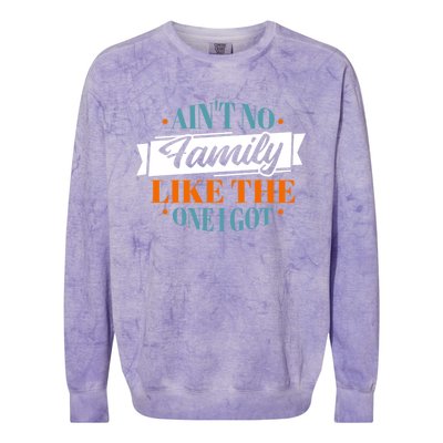 Family Reunion Matching Gift Colorblast Crewneck Sweatshirt