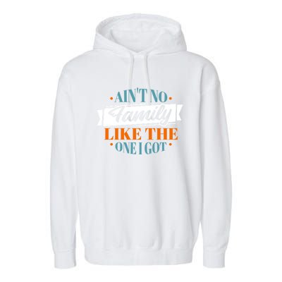 Family Reunion Matching Gift Garment-Dyed Fleece Hoodie