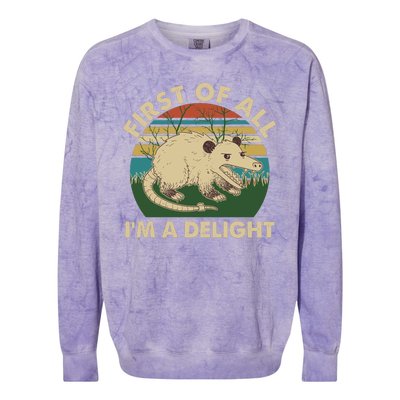 Funny Retro Opossum First Of All Im A Delight Colorblast Crewneck Sweatshirt