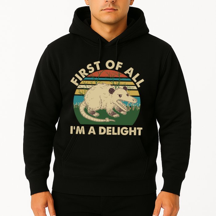 Funny Retro Opossum First Of All Im A Delight Hoodie