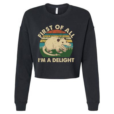 Funny Retro Opossum First Of All Im A Delight Cropped Pullover Crew