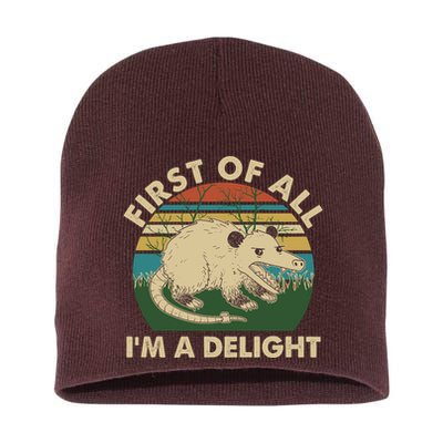 Funny Retro Opossum First Of All Im A Delight Short Acrylic Beanie