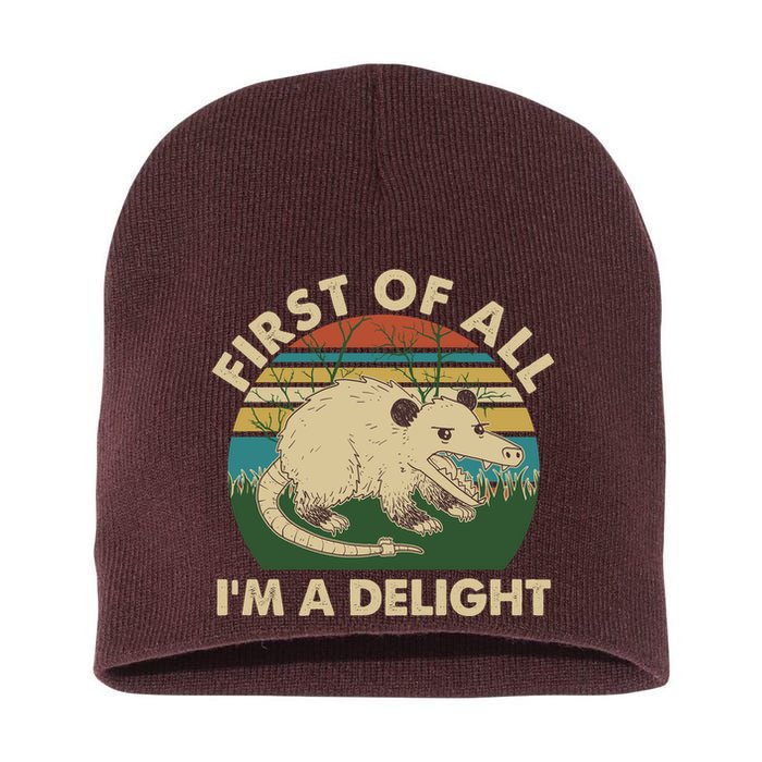Funny Retro Opossum First Of All Im A Delight Short Acrylic Beanie