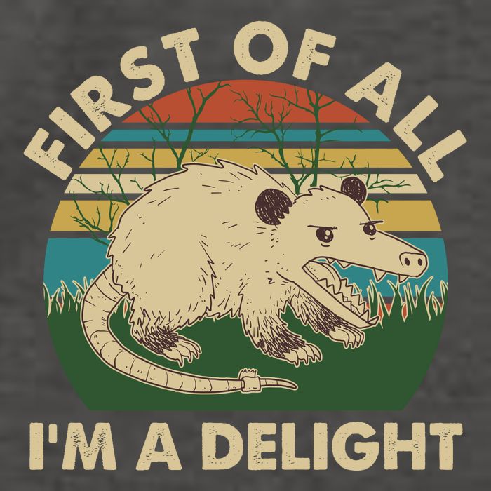 Funny Retro Opossum First Of All Im A Delight Vector Backpack