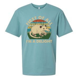 Funny Retro Opossum First Of All Im A Delight Sueded Cloud Jersey T-Shirt