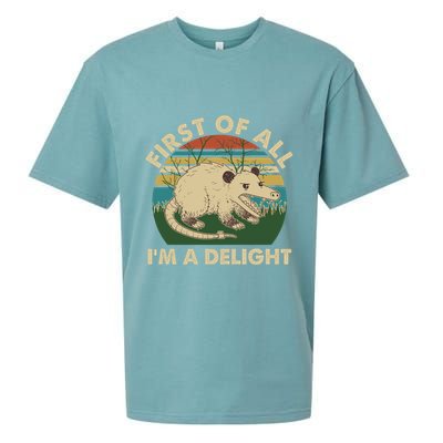 Funny Retro Opossum First Of All Im A Delight Sueded Cloud Jersey T-Shirt