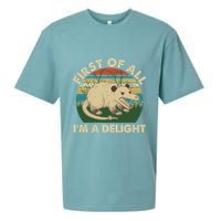 Funny Retro Opossum First Of All Im A Delight Sueded Cloud Jersey T-Shirt
