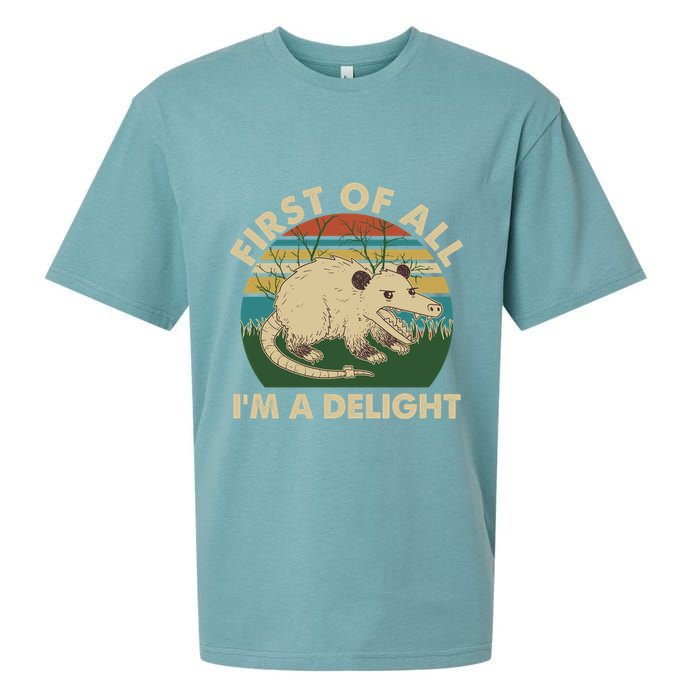 Funny Retro Opossum First Of All Im A Delight Sueded Cloud Jersey T-Shirt
