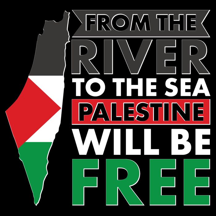From The River To The Sea Palestine Will Be Free Stripe Pom Pom Beanie