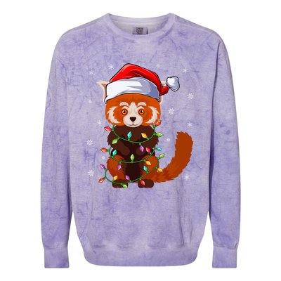 Funny Red Panda Xmas Matching Santa Hat Red Panda Christmas Gift Colorblast Crewneck Sweatshirt