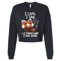 Forgetful Red Panda Cropped Pullover Crew