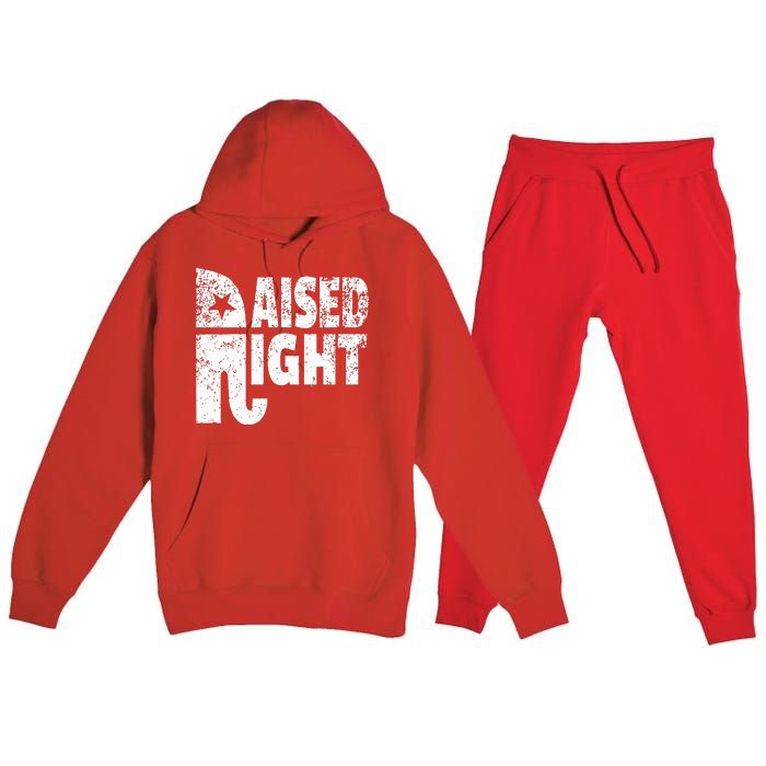 Funny Raised Right Elephant Vote Republican Party Red State Premium Hooded Sweatsuit Set