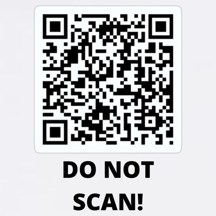 Funny Rick Roll Meme QR Code Do Not Scan Design Garment-Dyed Sweatshirt