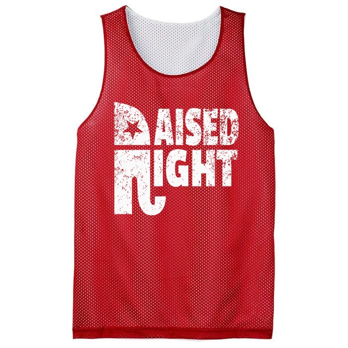 Funny Raised Right Elephant Vote Republican Party Red State Mesh Reversible Basketball Jersey Tank