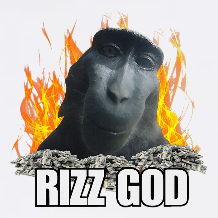 Funny Rizz Rizzler Rizz God Slang Meme Trending Social Media V-Neck T-Shirt